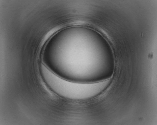 X0000093231418200709261500