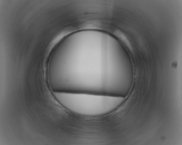 X0000093231419200709261500