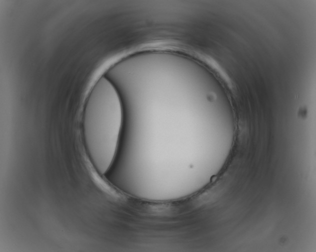 X0000093231421200709261500