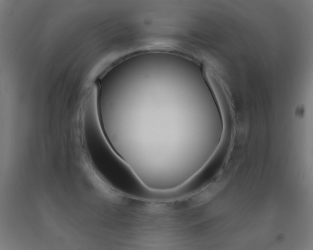 X0000093231422200709261500