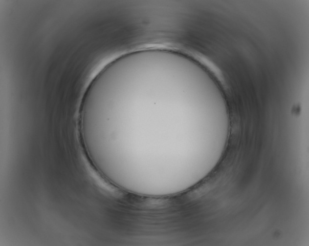 X0000093231423200709261500