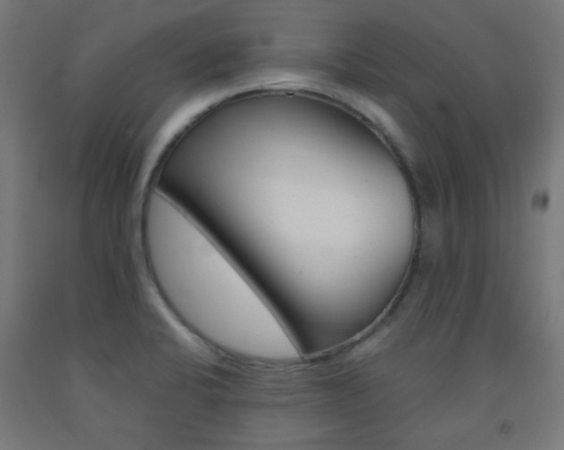 X0000093231424200709261500