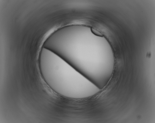X0000093231427200709261500