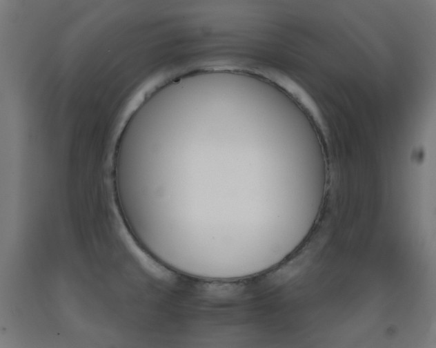 X0000093231429200709261500