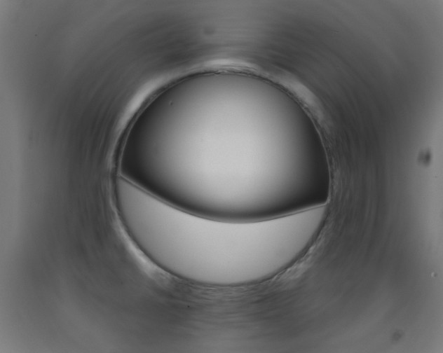 X0000093231430200709261500