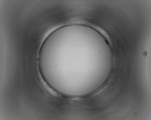 X0000093231431200709261500