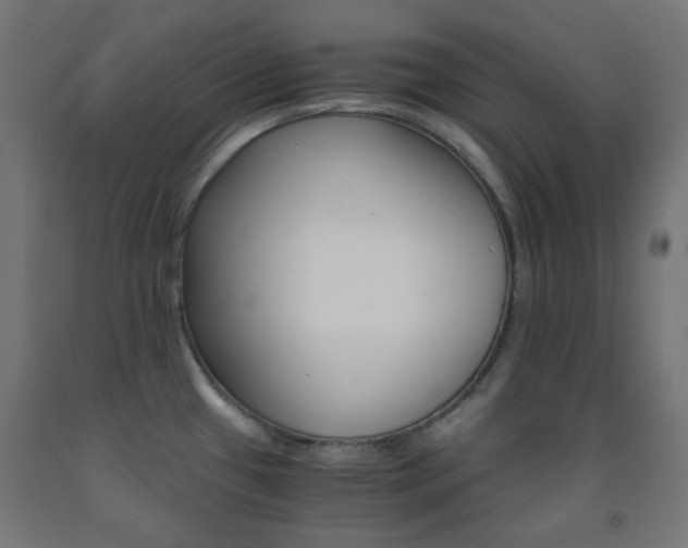 X0000093231433200709261500