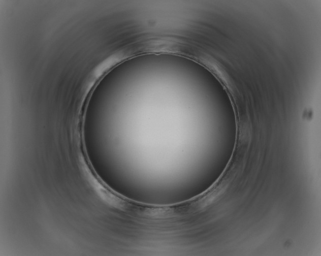 X0000093231434200709261500