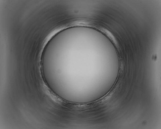 X0000093231435200709261500