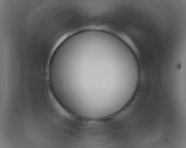 X0000093231436200709261500