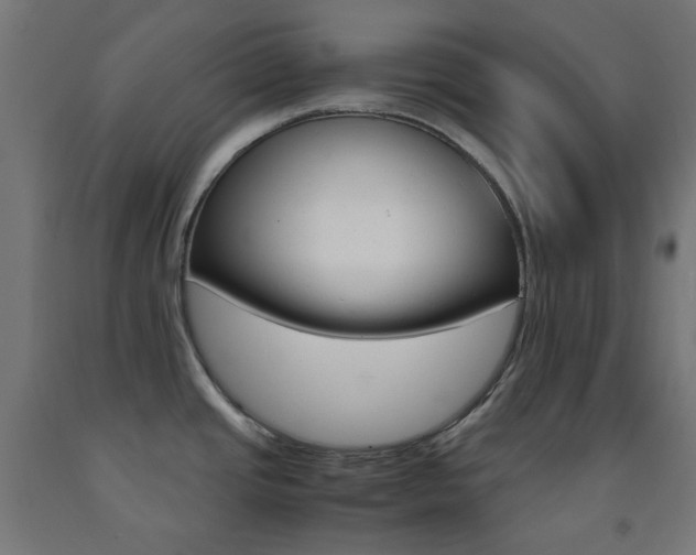 X0000093231437200709261500