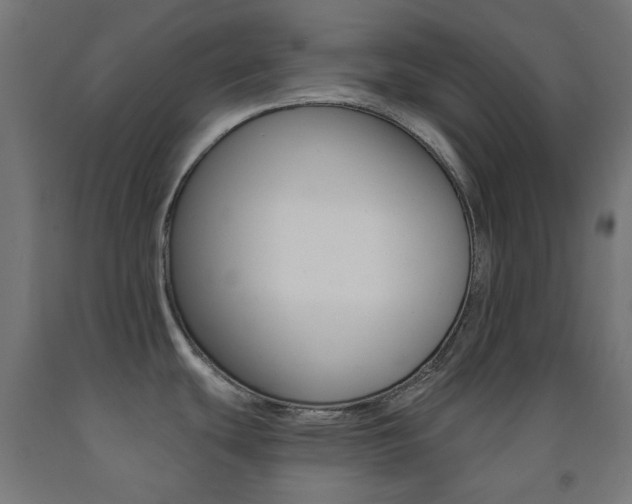 X0000093231439200709261500