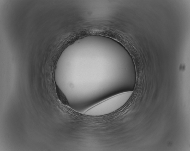 X0000093231441200709261459