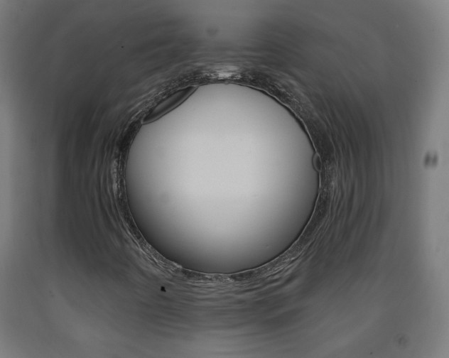 X0000093231442200709261459