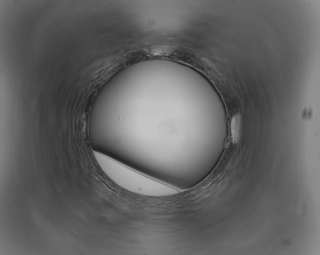 X0000093231443200709261459