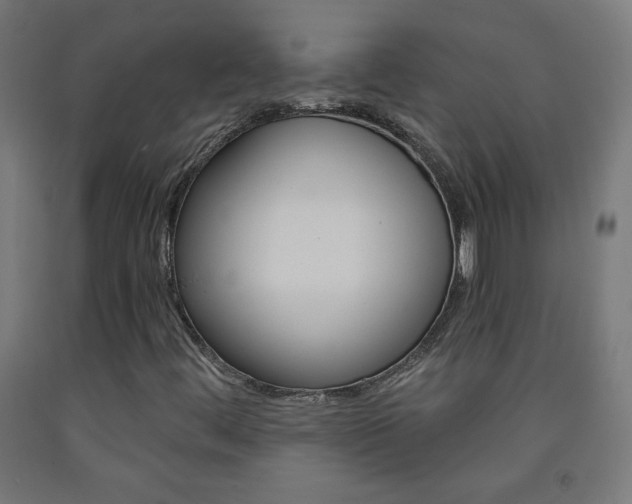 X0000093231444200709261459