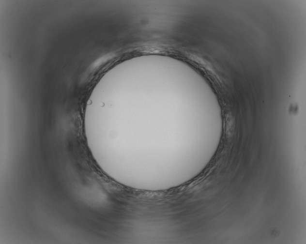 X0000093231446200709261459