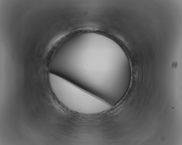 X0000093231448200709261459