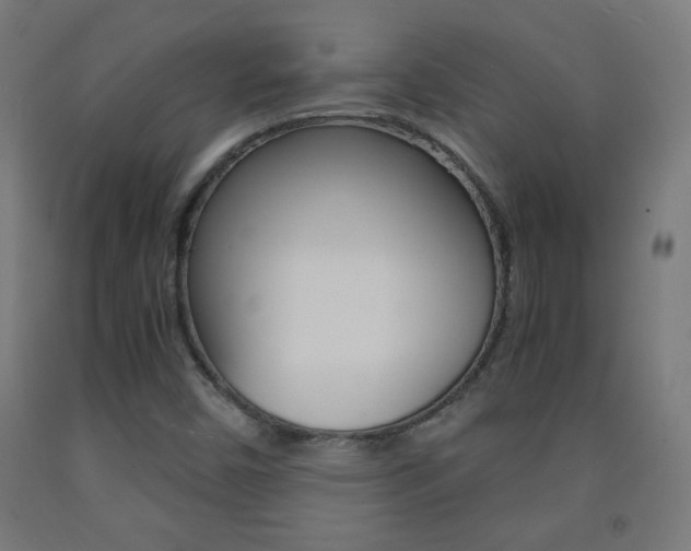 X0000093231450200709261459