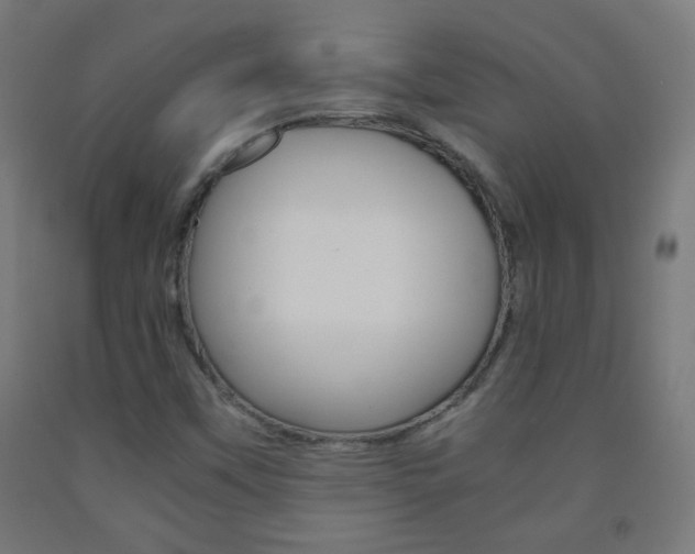 X0000093231451200709261459