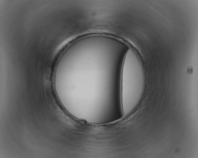 X0000093231452200709261459