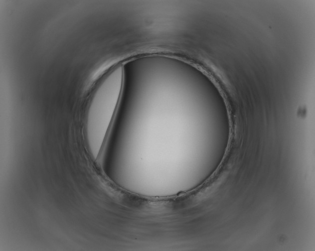 X0000093231453200709261459