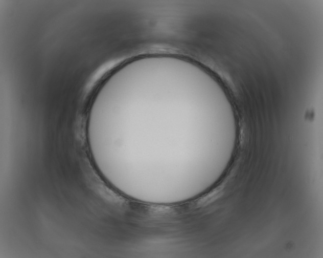X0000093231454200709261459