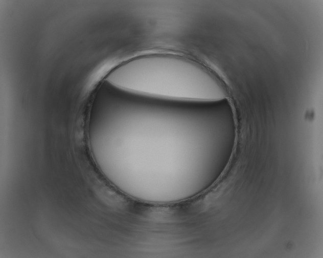 X0000093231455200709261459
