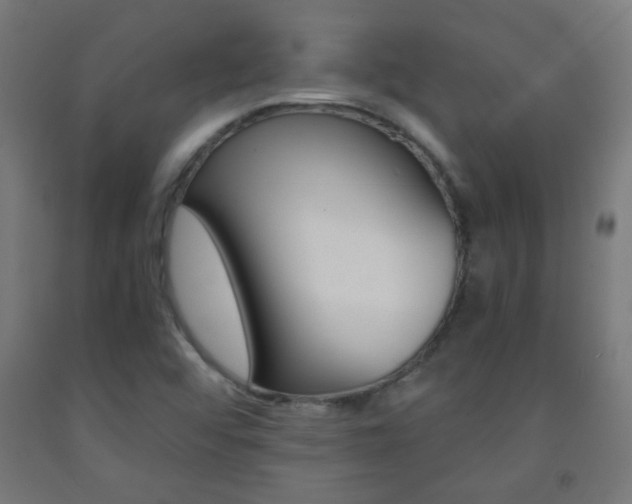 X0000093231456200709261459