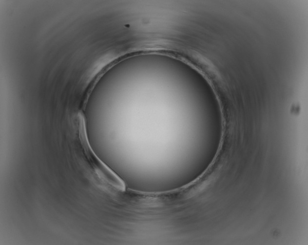 X0000093231457200709261459