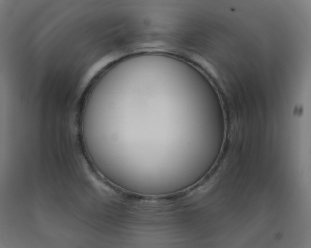 X0000093231458200709261459