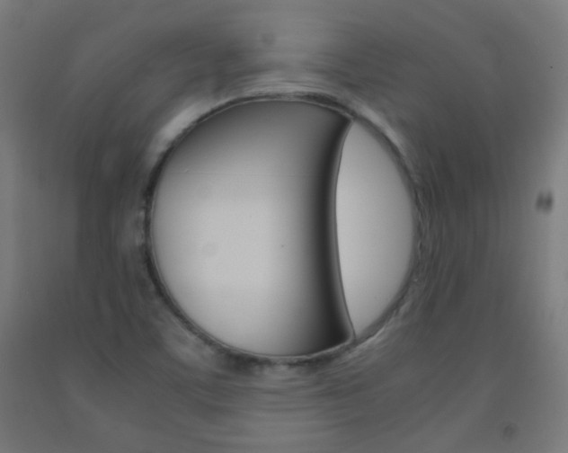X0000093231459200709261459