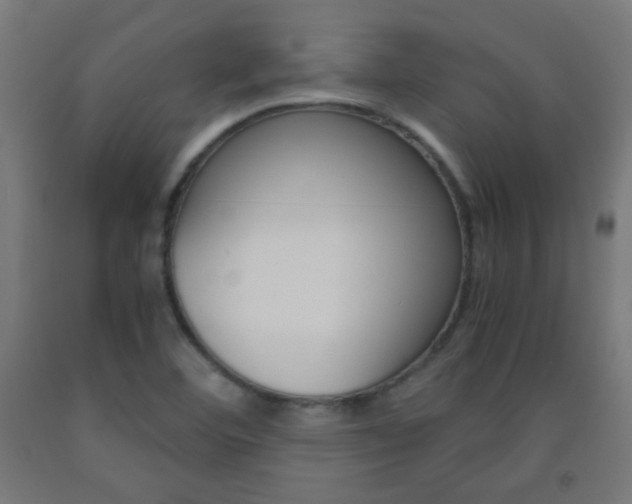 X0000093231460200709261459