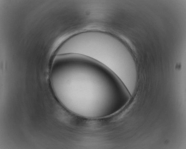 X0000093231461200709261459