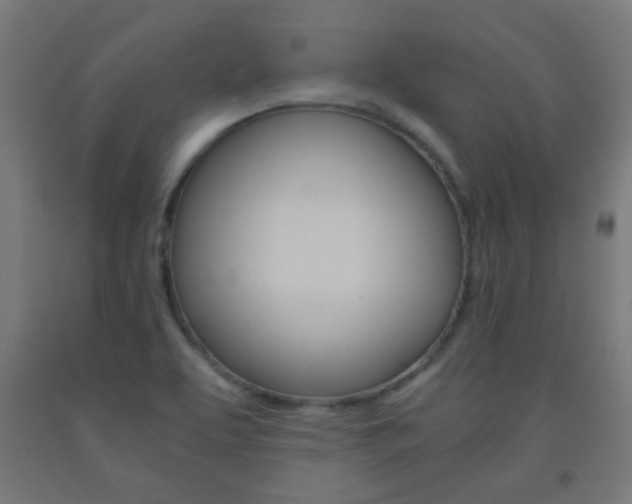 X0000093231463200709261459