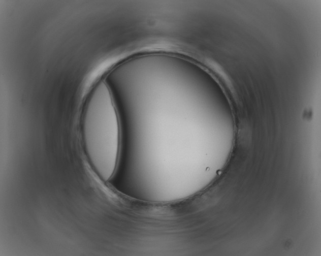 X0000093231464200709261459