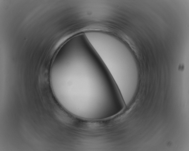 X0000093231465200709261459