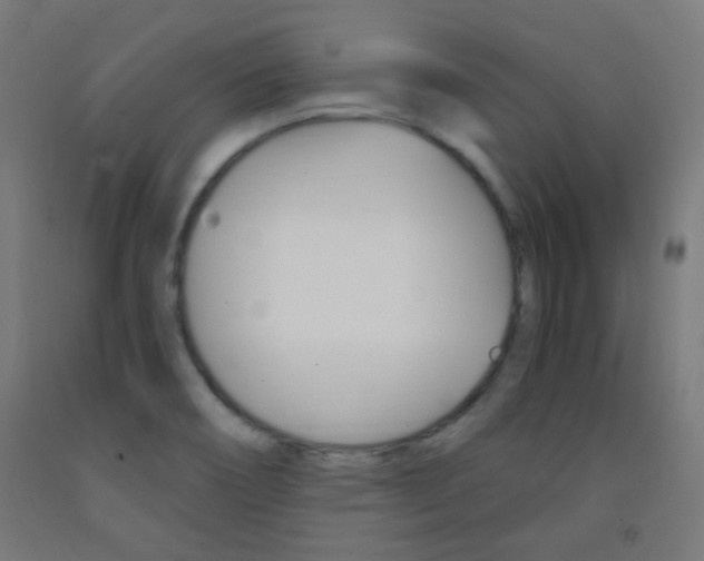 X0000093231466200709261459