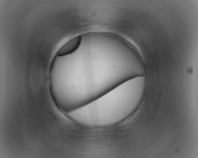 X0000093231467200709261459