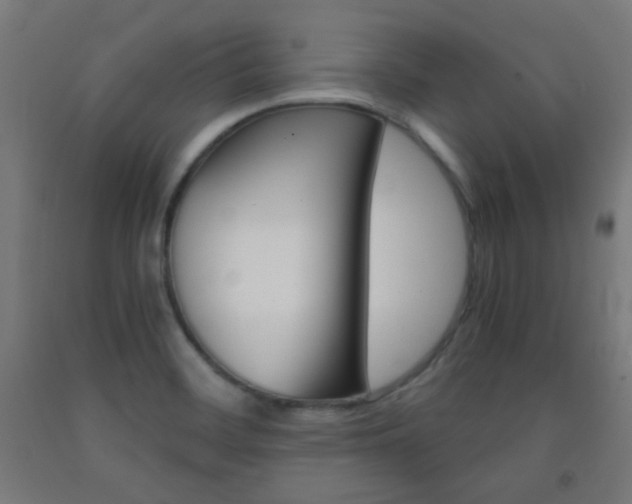 X0000093231468200709261459