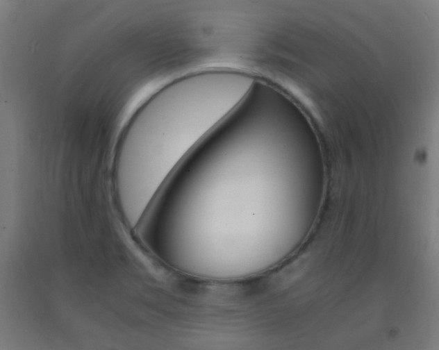 X0000093231469200709261459