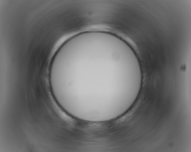 X0000093231470200709261459