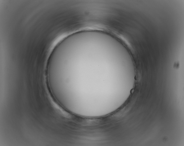 X0000093231471200709261459