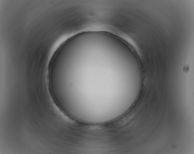 X0000093231472200709261459