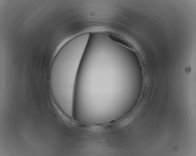 X0000093231473200709261459