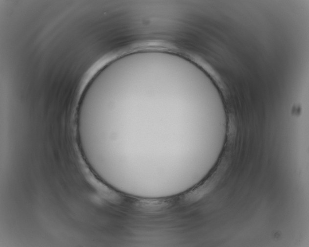 X0000093231474200709261459