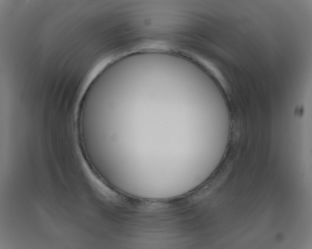 X0000093231475200709261459