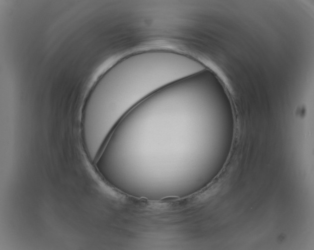 X0000093231477200709261459
