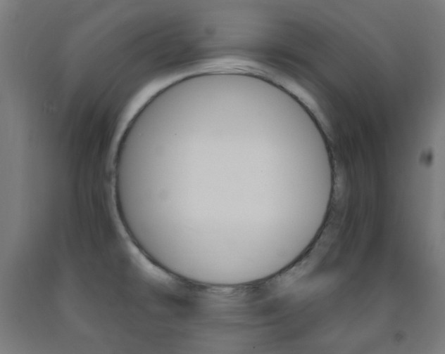 X0000093231478200709261459