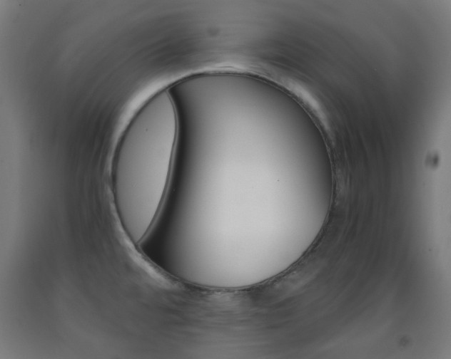 X0000093231480200709261459